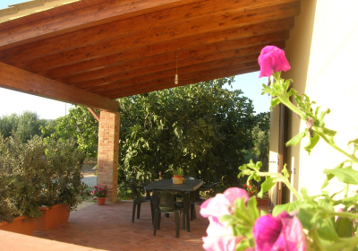 Casa Vacanze Appartamento Bilocale Le Antiche Macine Immerso Fra Ulivi